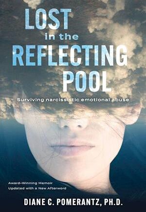 Amp Lost The Reflecting Poolamp  Diane Pomerantz Bog