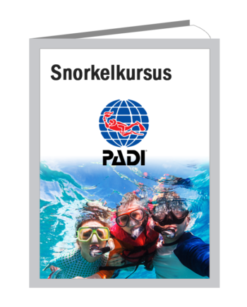 Padi Snorkelkursus Pool