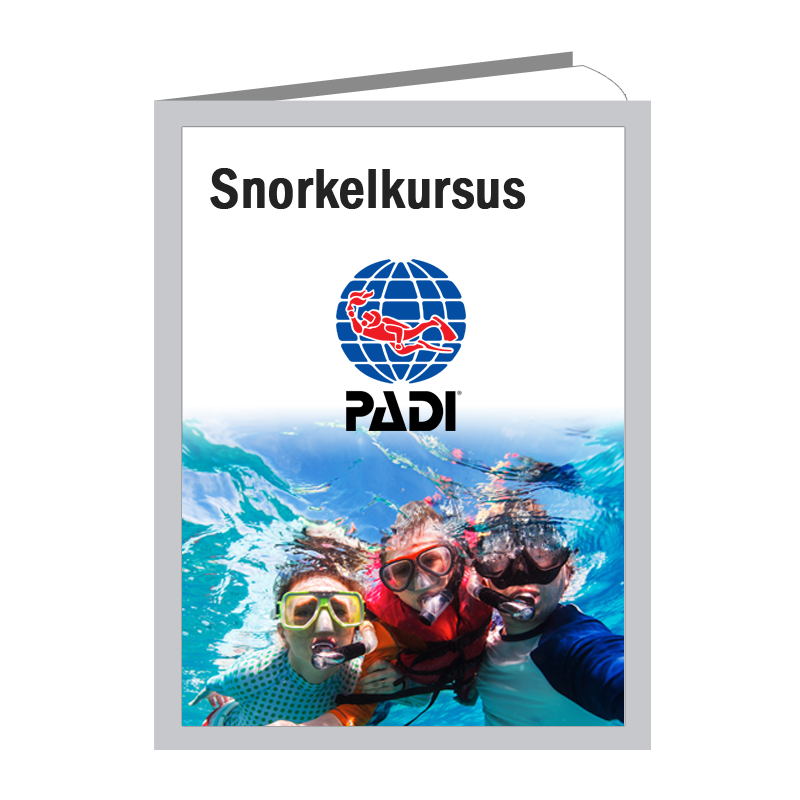 Padi Snorkelkursus Pool